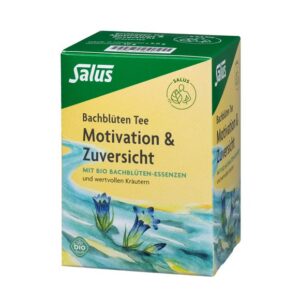 SALUS Bach Tee Motivation & Zuversi Bio Btl 15 Stk