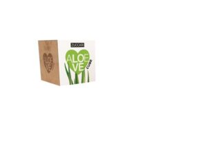 ZUCCARI AloeLove Cube