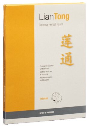 LIANTONG Chinese Herb Intense Patch 10x14cm  5 Stk