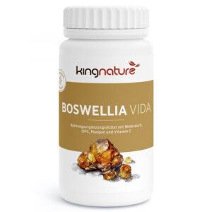 KINGNATURE Boswellia Vida Kaps 100 mg    Ds 90 Stk