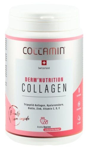COLLAMIN Derm'Nutrition Collagen 28 Port Ds 480 g