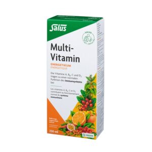 SALUS Multi-Vitamin Energetikum          Fl 250 ml