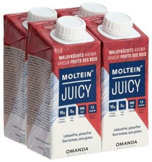 MOLTEIN Juicy Waldfrüchte           4 Tetra 200 ml