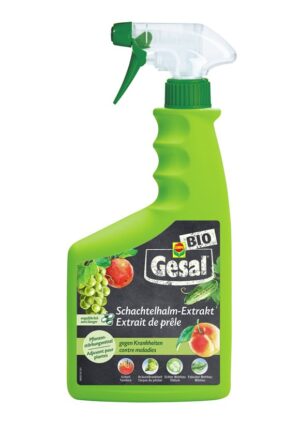 GESAL Schachtelhalm-Extrakt              Fl 750 ml