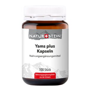 NATURSTEIN Yams plus Kaps           Glasfl 100 Stk