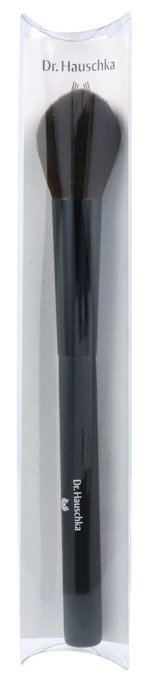 DR. HAUSCHKA Blusher Brush