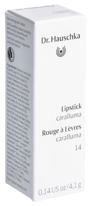 DR. HAUSCHKA Lipstick 14 caralluma         4.100 g