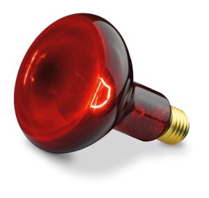 BEURER Ersatzbirne zu IL 11/Medel Inf Red