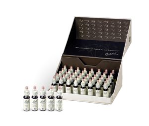 BACH Bachblueten Set 1-38 10 ml