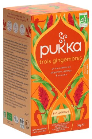 PUKKA Trois Gingembres Tee Bio          Btl 20 Stk