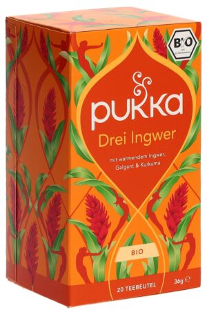 PUKKA Drei Ingwer Tee Bio               Btl 20 Stk