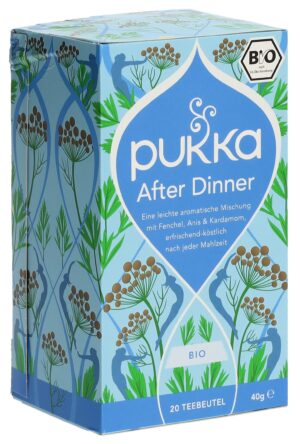 PUKKA Feel New Tee Bio DE               Btl 20 Stk