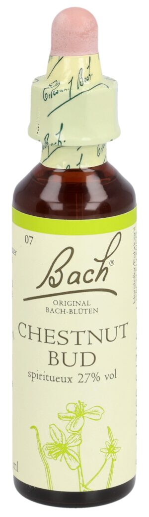 BACH Bachblüten Original Chest Bud Nr07      20 ml