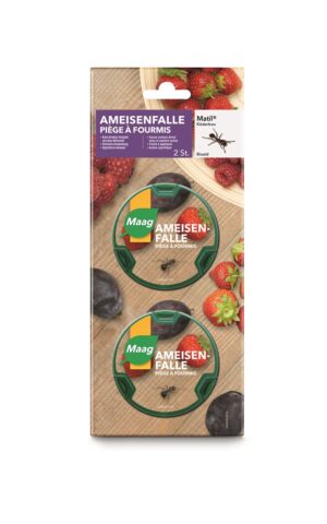 MATIL Ameisen Box 2 Stk