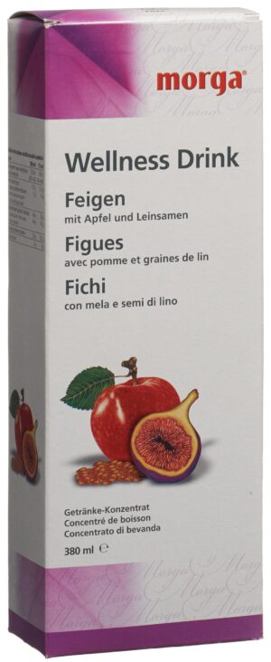 MORGA Wellness Drink Feigen                 380 ml