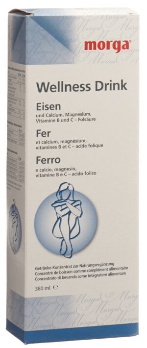 MORGA Wellness Drink Eisen 380 ml
