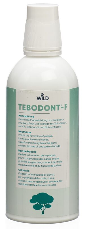 TEBODONT-F Mundspülung                Petfl 500 ml