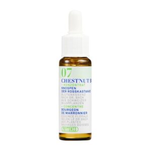 PHYTOMED Bachblueten No7 Knospe Rosskast Fl 10 ml