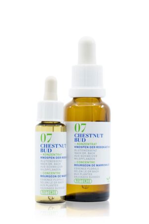 PHYTOMED Bachblueten No7 Knospe Rosskast Fl 30 ml