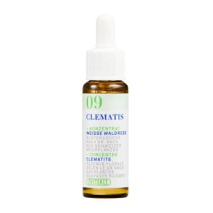 PHYTOMED Bachblueten No9 Weisse Waldrebe Fl 10 ml