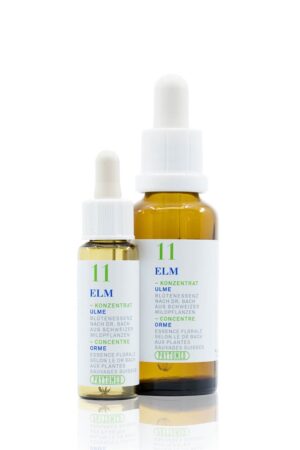 PHYTOMED Bachblueten No11 Ulme Fl 30 ml
