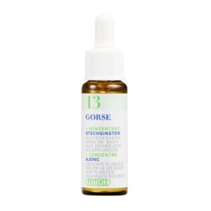 PHYTOMED Bachblueten No13 Stechginster Fl 10 ml