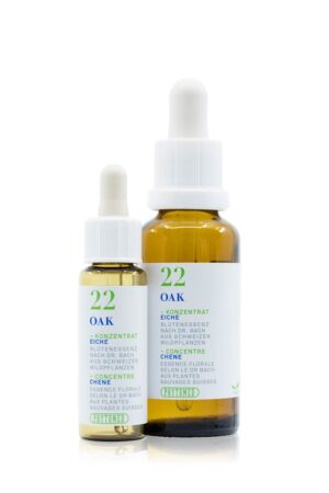 PHYTOMED Bachblueten No22 Eiche Fl 30 ml