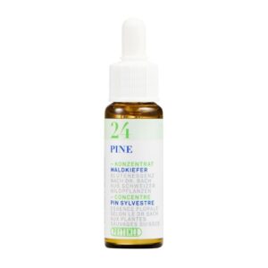 PHYTOMED Bachblueten No24 Waldkiefer 10 ml