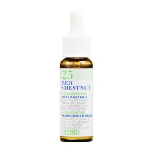 PHYTOMED Bachblueten No25 Rote Kastanie Fl 10 ml