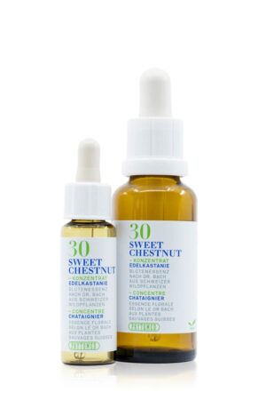 PHYTOMED Bachblueten No30 Edelkastanie Fl 30 ml