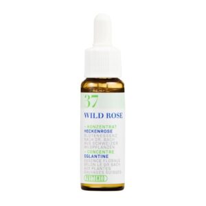 PHYTOMED Bachblueten No37 Heckenrose Fl 10 ml