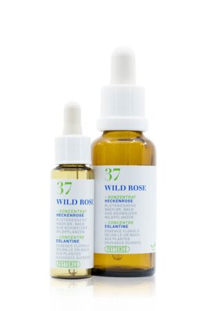 PHYTOMED Bachblueten No37 Heckenrose Fl 30 ml