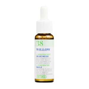 PHYTOMED Bachblueten No38 Gelbe Weide Fl 10 ml
