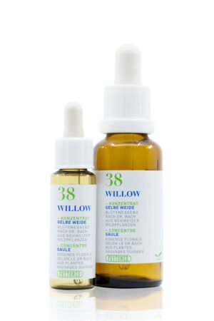 PHYTOMED Bachblueten No38 Gelbe Weide Fl 30 ml