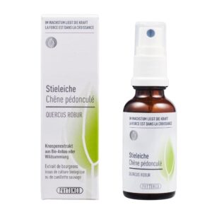 PHYTOMED Knospenextrakt Stieleiche Spr 30 ml