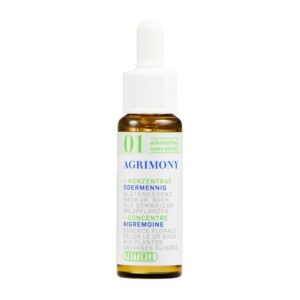 PHYTOMED Nr1 Bach Tropfen-Konz alkoholfrei 10 ml
