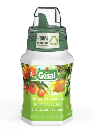 GESAL Zitruspflanzendünger               Fl 250 ml