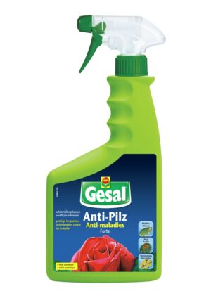 GESAL Anti-Pilz FORTE                   Spr 750 ml