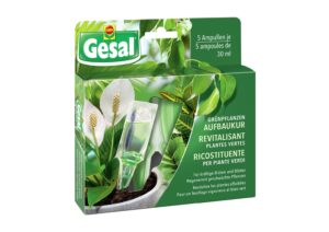 GESAL Gruenpflanzen Aufbaukur 5 x 30 ml