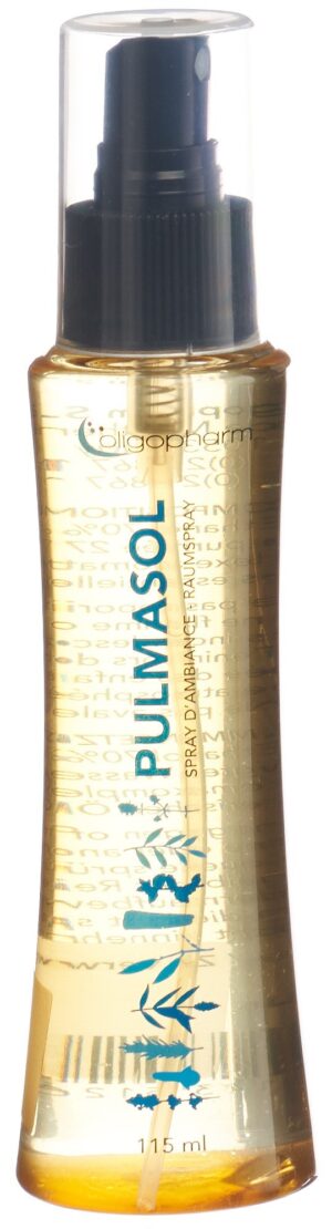 PULMASOL Spray                              115 ml