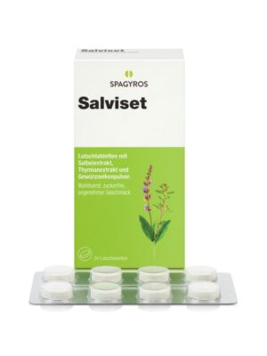 SALVISET Pastillen                          24 Stk