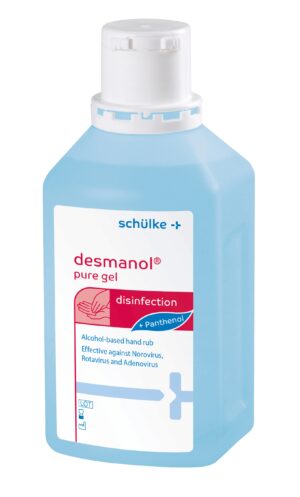 DESMANOL pure Gel INT                    Fl 500 ml