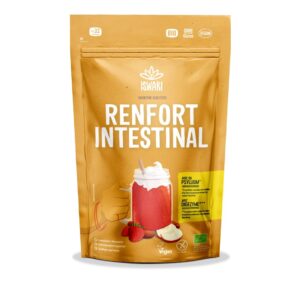 ISWARI Smoothie boost Darm Gesundh Bio   Btl 8 Stk