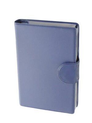MEDIDOS Medikamentenbox italienisch blau