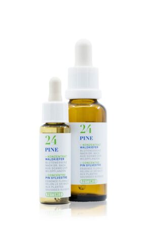PHYTOMED Bachblueten No24 Waldkiefer 30 ml
