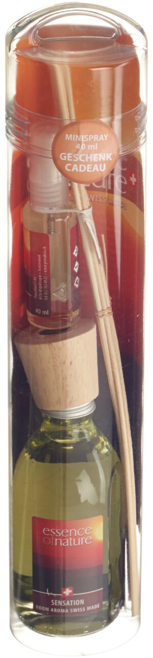 ESSENCE OF NATURE Sticks Sensation 250 ml
