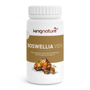 KINGNATURE Boswellia Vida Kaps 200 mg Ds 90 Stk
